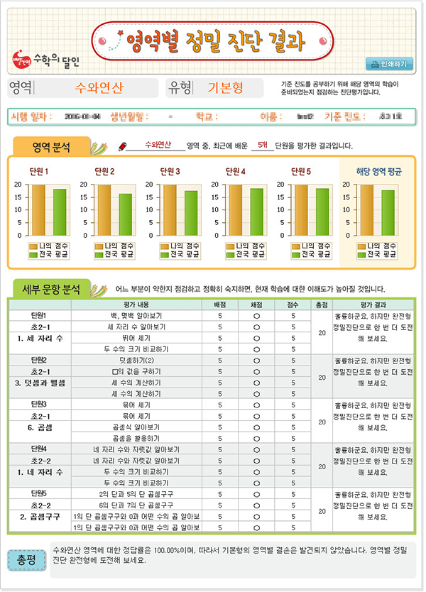 영역별 정밀 진단 결과 예시